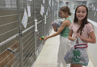 Illustration de l'article : L'initiative touchante de 2 fillettes ayant vendu de la limonade pour offrir des jouets aux chiens d'un refuge local