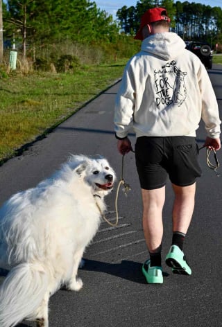 Illustration de l'article : Il permet à des chiens de faire de l'exercice et les aide à se faire adopter en les filmant en train de courir (vidéo)