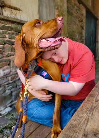 Illustration de l'article : Dudley, un chien amputé, remporte un concours et devient symbole de courage