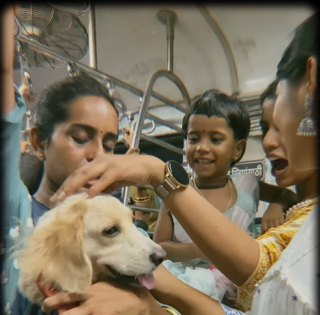 Illustration de l'article : Ce chien donne le sourire aux passagers d’un train où l’ambiance est habituellement froide et oppressante (vidéo) 