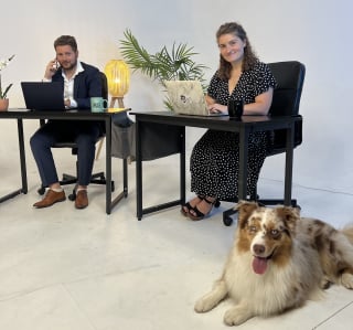 Illustration de l'article : Entretien avec Astrid Belfer, fondatrice de DoggyWorky : « Nous sommes convaincus que les chiens sont compatibles avec le milieu professionnel »