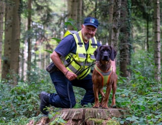 Illustration de l'article : Un chien héros part à la recherche d’un homme de 82 ans disparu en forêt et lui sauve la vie