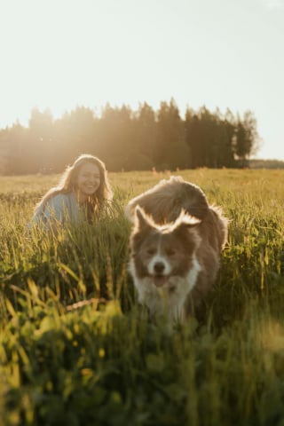 Illustration de l'article : Le hasard met une chienne sur la route d’une famille et elle devient sa plus fidèle amie 