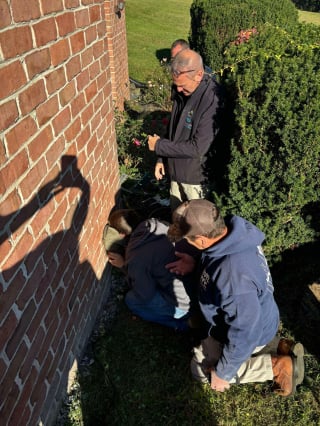 Illustration de l'article : Des pompiers lancent une opération de sauvetage insolite pour un lapin piégé derrière une cheminée