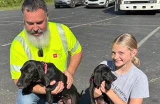 Illustration de l'article : Un employé chargé de l'entretien des routes endommagées par un ouragan découvre un chiot et sa mère sans savoir qu'on les cherchait depuis une semaine (vidéo)