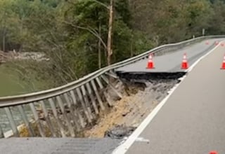 Illustration de l'article : Un employé chargé de l'entretien des routes endommagées par un ouragan découvre un chiot et sa mère sans savoir qu'on les cherchait depuis une semaine (vidéo)