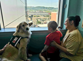 Illustration de l'article : Quand il sait que son chien de thérapie est là, ce jeune garçon malade trouve la motivation d’aller à l’hôpital 