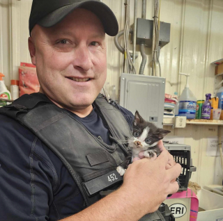 Illustration de l'article : Un policier sauve un chaton qui servait de ballon à des enfants et lui offre une vie meilleure en l'adoptant