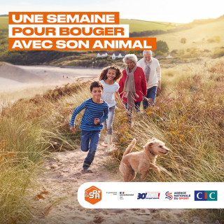 Illustration de l'article : La SPA lance l'initiative "Une semaine pour bouger avec son animal" : du 9 au 15 septembre, dépensez-vous avec votre boule de poils et partagez votre expérience