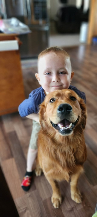 Illustration de l'article : Un chien de thérapie disparu pendant 5 jours retrouve son jeune maître en rémission d'un cancer