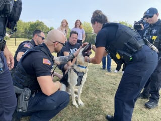 Illustration de l'article : Un chien blessé par balles et le policier lui ayant sauvé la vie vivent de joyeuses retrouvailles 7 mois après