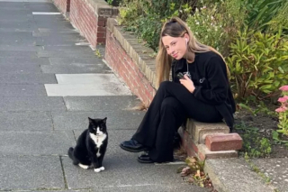 Illustration de l'article : L'amitié d'une femme avec un chat rescapé change complètement sa perception des félins qu'elle fuyait systématiquement