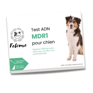 Illustration de l'article : Découvrez si votre chien est positif à la sensibilité médicamenteuse ou une maladie génétique avec Felome