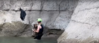 Illustration de l'article : Alertés par des golfeurs, ils sauvent un chien pris au piège dans un ruisseau et découvrent que sa famille le cherchait depuis 2 jours