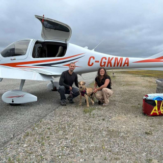 Illustration de l'article : Trouvée dans un sac-poubelle, une chienne aux pattes arrière paralysées effectue un voyage de 3 200 km pour rencontrer son âme soeur