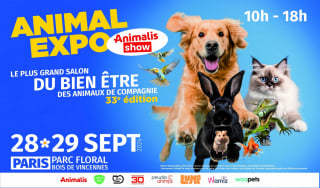 Illustration de l'article : Natura Dog Party : plus de 2000 m2 d’activités vous attendent, vous et votre chien, à l’occasion du salon Animal Expo – Animalis Show