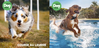 Illustration de l'article : Natura Dog Party : plus de 2000 m2 d’activités vous attendent, vous et votre chien, à l’occasion du salon Animal Expo – Animalis Show