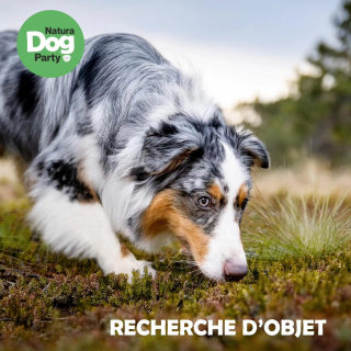 Illustration de l'article : Natura Dog Party : plus de 2000 m2 d’activités vous attendent, vous et votre chien, à l’occasion du salon Animal Expo – Animalis Show