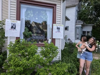 Illustration de l'article : "Montrez-nous vos chats" : un quartier historique envahi par des passionnés félins lors d’un événement annuel créé modestement par un blogueur local