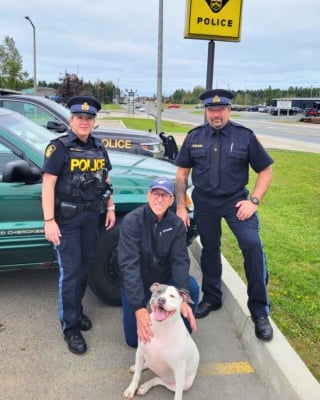 Illustration de l'article : Joyeuses retrouvailles entre un automobiliste victime d'un malaise au volant et sa chienne prise en charge par la police lors de l'incident