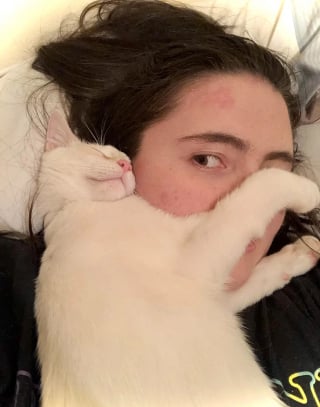 Illustration de l'article : 15 chats de refuge qui savent parfaitement user de leur charme