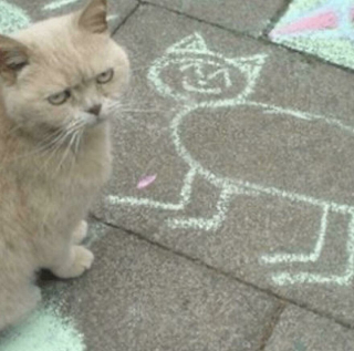 Illustration de l'article : 18 photos de chiens et de chats pour vous faire mourir de rire