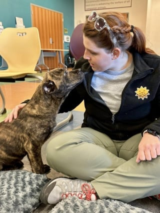 Illustration de l'article : Un chiot quitte le refuge pour le zoo où il a pour mission d’aider un jeune canidé sauvage orphelin à grandir