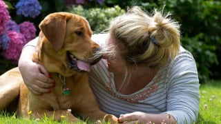 Illustration de l'article : Des centaines de personnes accompagnent un chien guide malade lors de son ultime promenade