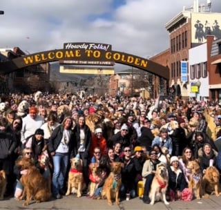 Illustration de l'article : Une marée de joyeux Golden Retrievers inonde les rues de cette ville qui porte leur nom lors d'un événement annuel (vidéo)