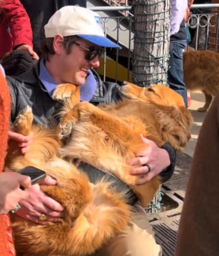 Illustration de l'article : Une marée de joyeux Golden Retrievers inonde les rues de cette ville qui porte leur nom lors d'un événement annuel (vidéo)