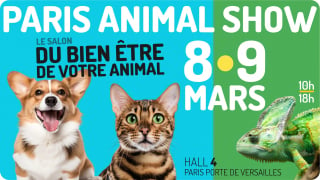 Illustration de l'article : Paris Animal Show 2025, un rendez-vous unique pour les amoureux des animaux entre découvertes, immersion et activités ludiques