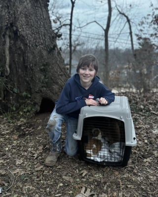 Illustration de l'article : Pour protéger ses 11 chiots, une chienne les cache dans un tronc d’arbre avant un sauvetage digne d'un film