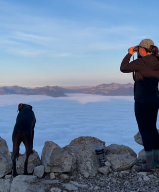 Illustration de l'article : Depuis leur tour d’observation, un chien sénior et sa propriétaire protègent la nature des incendies (vidéo)