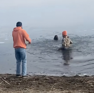 Illustration de l'article : L’acte héroïque d’un propriétaire n’ayant pas hésité une seule seconde avant de plonger dans un lac gelé pour sauver son chien (vidéo)