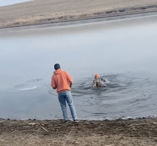 Illustration de l'article : L’acte héroïque d’un propriétaire n’ayant pas hésité une seule seconde avant de plonger dans un lac gelé pour sauver son chien (vidéo)