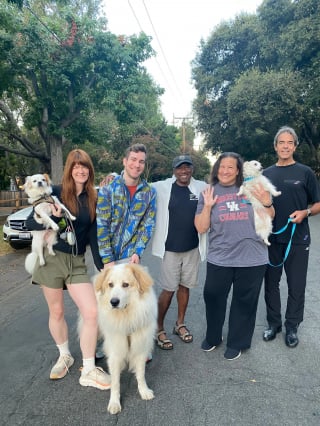 Illustration de l'article : Après avoir tout perdu dans les incendies, un groupe de propriétaires canins se reforme par solidarité pour promener leurs chiens ensemble, comme avant