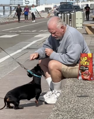 Illustration de l'article : Une femme aperçoit un homme assis au bord de la mer avec un paquet de friandises et découvre son adorable secret (vidéo)