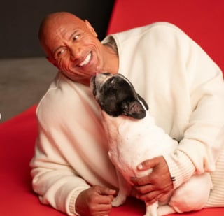 Illustration de l'article : "The Rock" est en deuil, l'acteur Dwayne Johnson annonce la disparition de son chien qui était à ses côtés depuis 10 ans