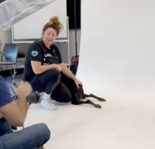 Illustration de l'article : Lors d’un shooting photo, cette chienne dévoile une posture assise jamais vue auparavant (vidéo)