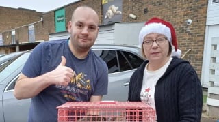 Illustration de l'article : Un promeneur trouve 3 chatons abandonnés la veille de Noël et leur offre le plus beau des cadeaux en leur sauvant la vie