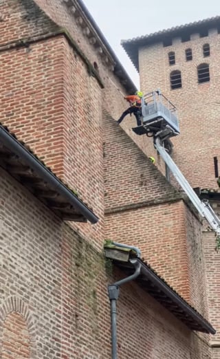 Illustration de l'article : Lors d'un sauvetage, un chat coincé sur le toit d'une église préfère s'en sortir seul au prix d'un saut spectaculaire (vidéo)