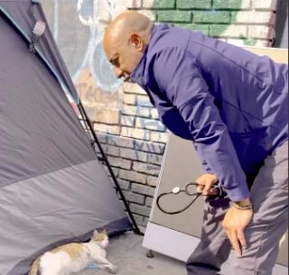 Illustration de l'article : Errante et enceinte, cette petite chatte trouve refuge dans la tente d’un sans-abri qui l’accueille à bras ouverts et contacte un vétérinaire pour l'aider