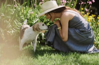 Illustration de l'article : Endeuillée, Meghan Markle rend un hommage bouleversant à son chien qu'elle a sauvé de l'euthanasie il y a 10 ans