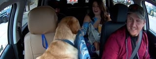 Illustration de l'article : Ce chien copilote d'un chauffeur de taxi fait sensation auprès des clients et sur les réseaux sociaux (vidéo)