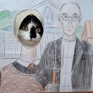 Illustration de l'article : 10 photos hilarantes où ce chat vole la vedette à des personnages célèbres