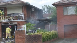 Illustration de l'article : Un chien coincé dans une maison en flammes survit grâce à l'acte héroïque d'un passant qui lui offre aussi l'hospitalité