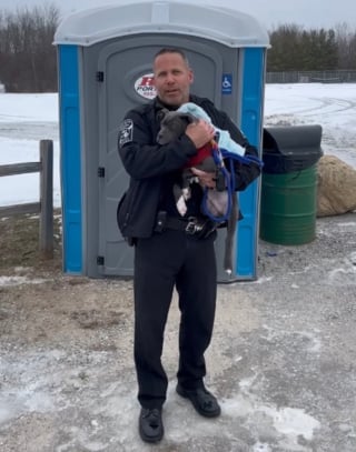 Illustration de l'article : Après le sauvetage d'un chiot abandonné dans une cabine de WC publique, la police donne de ses nouvelles et annonce une arrestation