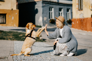 Illustration de l'article : 9 conseils pour montrer à votre chien à quel point vous l’aimez