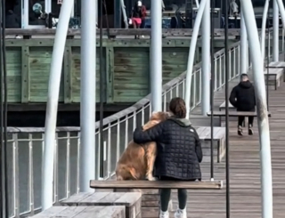 Illustration de l'article : Touchée par un moment de tendresse partagé entre un chien et sa maîtresse, une passante filme la scène en espérant qu'il "restera gravé à jamais dans leur mémoire"