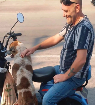 Illustration de l'article : Un chien errant terrifié par un feu d'artifice se réfugie dans un magasin où un client se prend d'affection pour lui